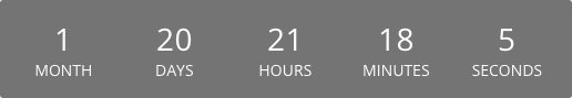 countdown timer